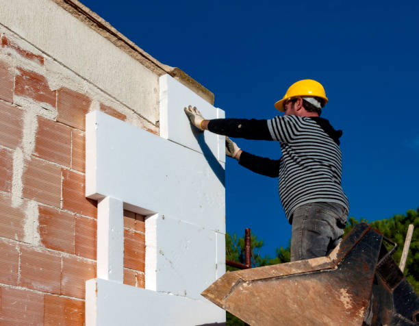 Best Residential Insulation Services  in Edmonton, KY