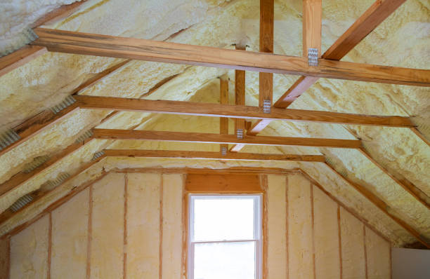 Best Blown-in Insulation  in Edmonton, KY