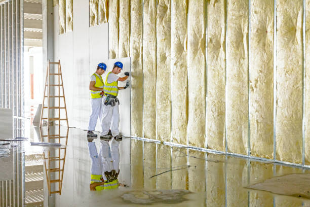 Best Soundproof Insulation Installation  in Edmonton, KY